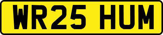 WR25HUM