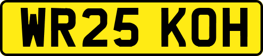 WR25KOH