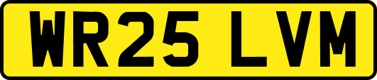 WR25LVM