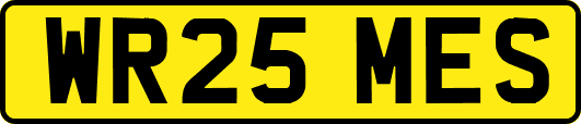 WR25MES