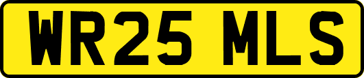 WR25MLS