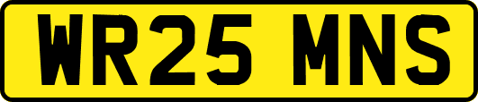 WR25MNS
