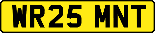 WR25MNT