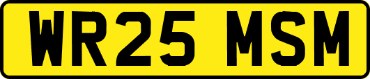 WR25MSM