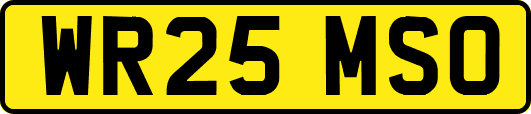 WR25MSO