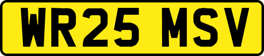 WR25MSV