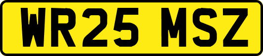 WR25MSZ