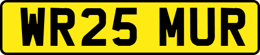 WR25MUR