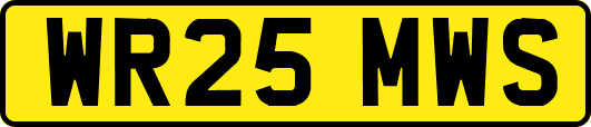 WR25MWS