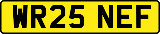 WR25NEF