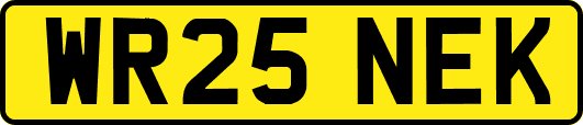 WR25NEK