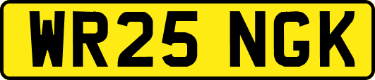 WR25NGK
