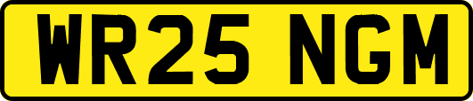 WR25NGM
