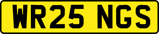 WR25NGS