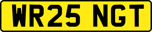 WR25NGT