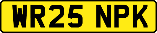 WR25NPK