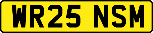 WR25NSM