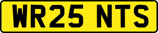 WR25NTS