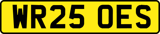 WR25OES