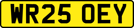 WR25OEY