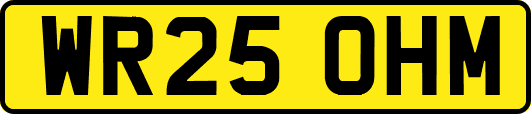 WR25OHM