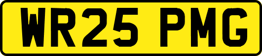 WR25PMG