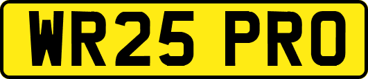 WR25PRO