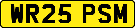 WR25PSM