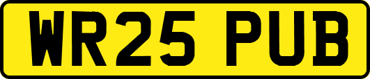 WR25PUB