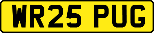 WR25PUG