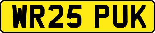 WR25PUK
