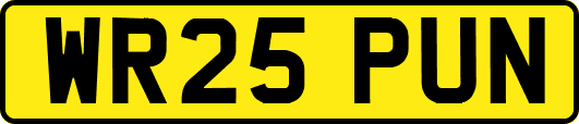 WR25PUN