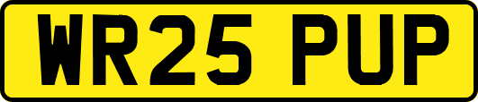 WR25PUP