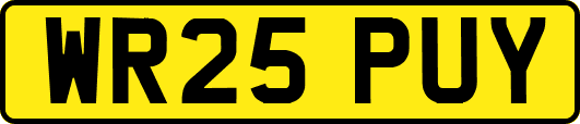 WR25PUY
