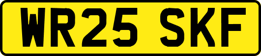 WR25SKF