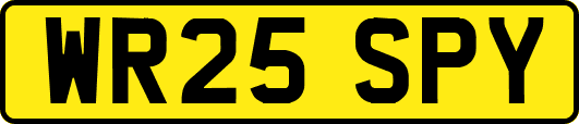 WR25SPY