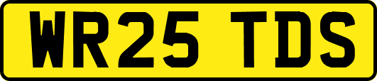WR25TDS