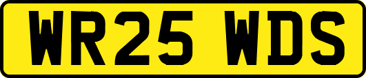 WR25WDS