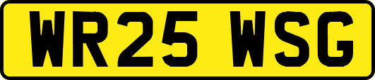 WR25WSG