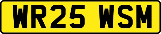 WR25WSM