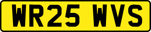WR25WVS