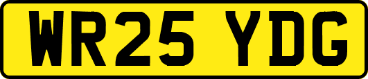WR25YDG
