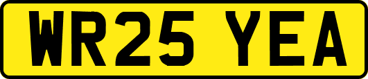 WR25YEA