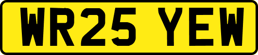 WR25YEW
