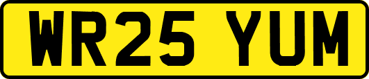 WR25YUM