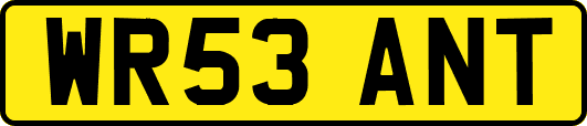 WR53ANT