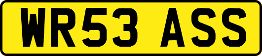 WR53ASS