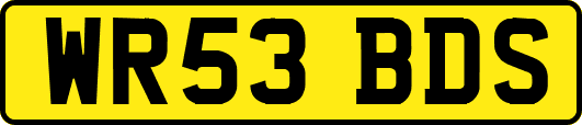 WR53BDS