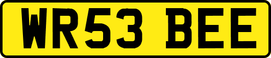 WR53BEE