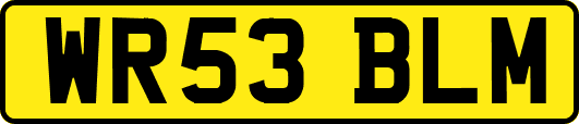 WR53BLM